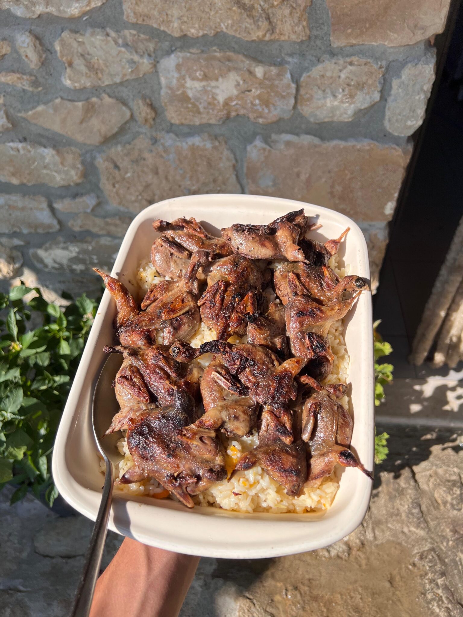 Traditional Albanian Restaurant | Rrezja e Diellit Agritourism