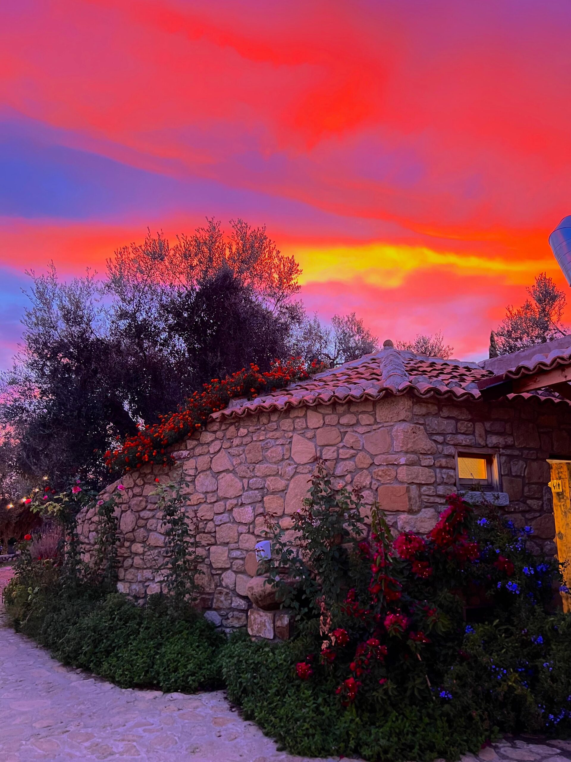 Kantinë Vere në Shqipëri